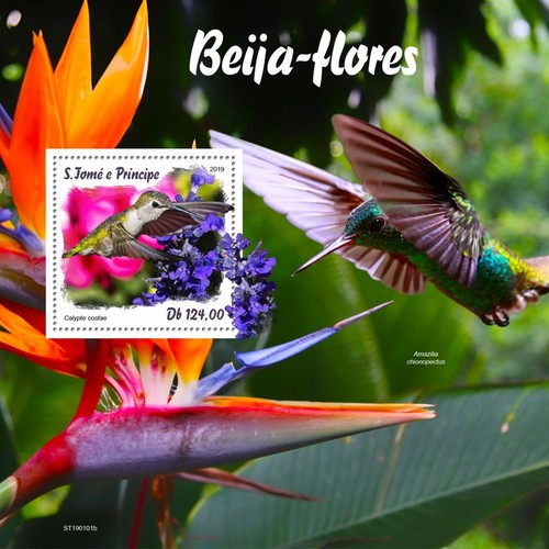 Colibri