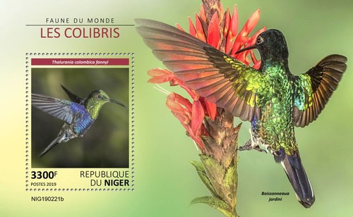 Colibri